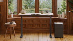 What No One Tells You About Using a Standing Desk in a Shared Space