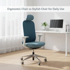 Ergonomic Chair vs Stylish Chair for Daily Use