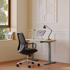 Mini Standing Desk Florida: Compact Workspace Solutions for Modern Offices