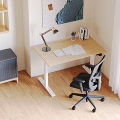 Ergonomic Onyx Chair: Where Posture Meets Power