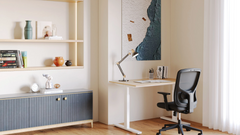 Best Chairs for Students: Affordable & Comfortable for Long Study Hours