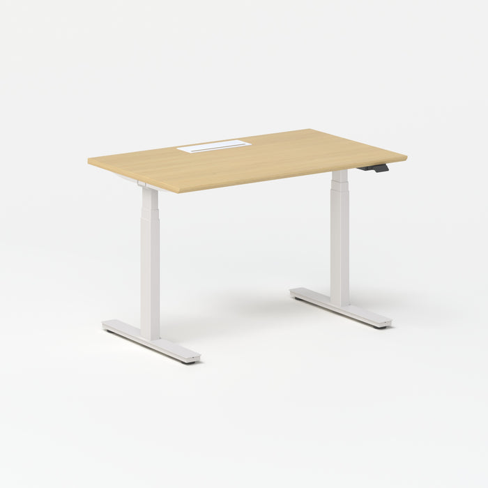 Standing Desk