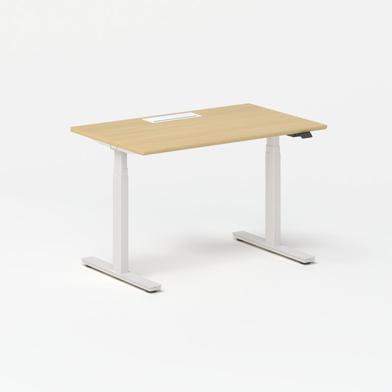Standing Desk