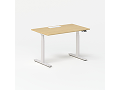 Mini Standing Desk