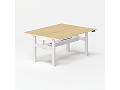 Two Person Standing Desk