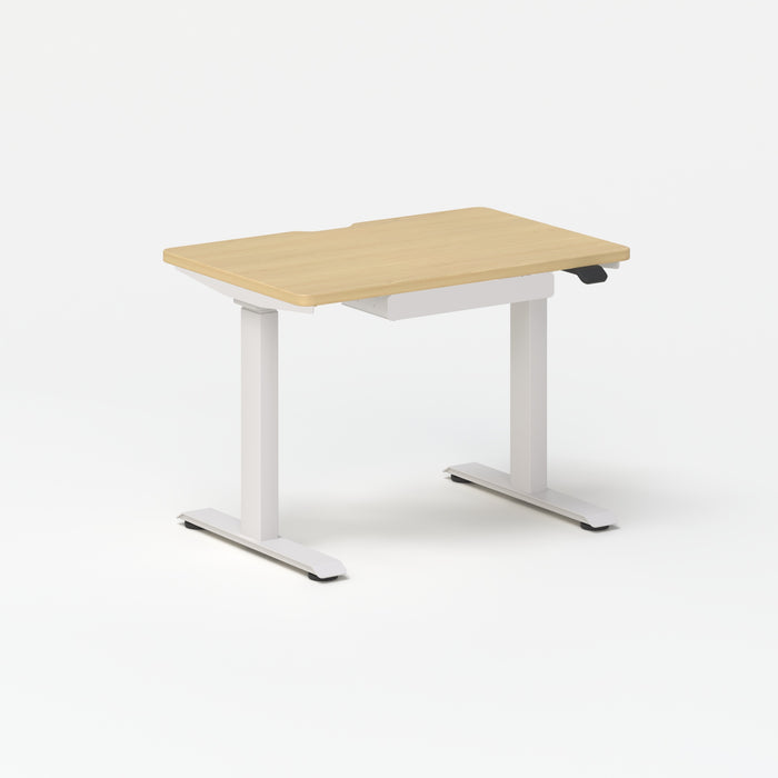 Mini Standing Desk