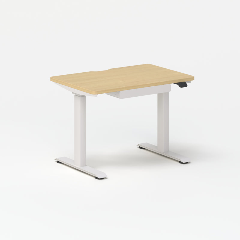 Mini Standing Desk