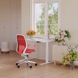 Standing desk and Seashell chair bundle for a clean workspace setup